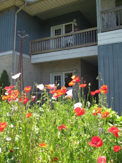 Highlands Four Season Resort Calabogie Exterior photo